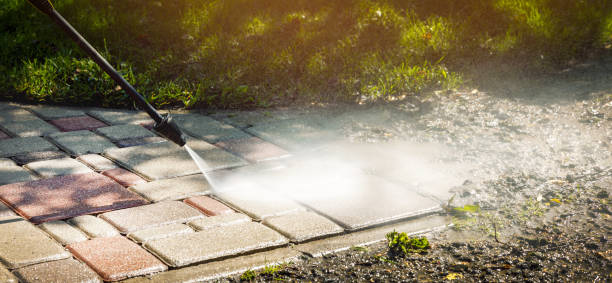 Best Driveway Pressure Washing  in Ddanelle, AR