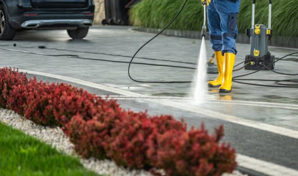 Animal Enclosure Cleaning in Dardanelle, AR